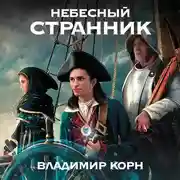 Постер книги Небесный странник