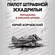 Постер книги Пилот штрафной эскадрильи