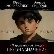 Постер книги Предназначение. Книга 1. Часть 3