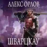 Постер книги Шварцкау