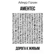 Постер книги Аментес. Дорога к живым