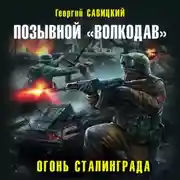 Постер книги Позывной «Волкодав». Огонь Сталинграда
