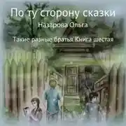 Постер книги По ту сторону сказки. Такие разные братья