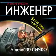 Постер книги Инженер. Золотые погоны