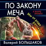Постер книги По закону меча. Мы от рода русского!