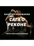 Валерий Большаков - Сага о реконе