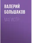 Валерий Большаков - Магистр