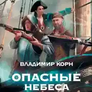 Постер книги Опасные небеса