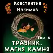 Постер книги Травник. Магия камня