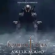 Постер книги Клинок света. Книга первая
