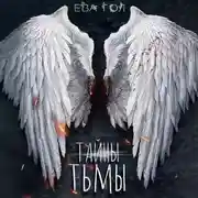 Постер книги Тайны тьмы