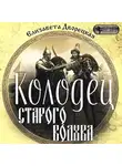 Елизавета Дворецкая - Колодец старого волхва