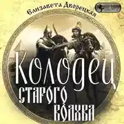 Постер книги Колодец старого волхва