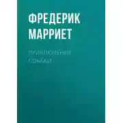 Постер книги Приключение собаки