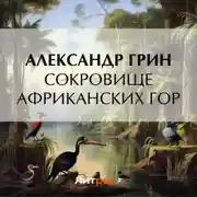 Постер книги Сокровище африканских гор