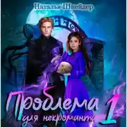 Постер книги Проблема для некроманта
