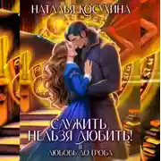 Постер книги Служить, нельзя любить! Любовь до гроба