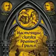 Постер книги Настоящие сказки братьев Гримм. Часть 2