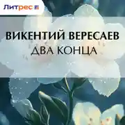 Постер книги Два конца