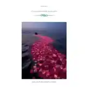 Постер книги Поцелованные дождем