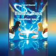 Постер книги Ника и Лика. Волшебные камни