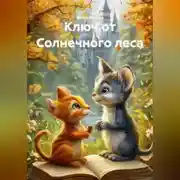 Постер книги Ключ от Солнечного леса