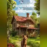 Постер книги Разинские Истории