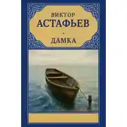 Постер книги Дамка