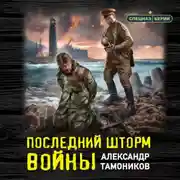 Постер книги Последний шторм войны