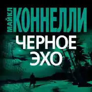 Постер книги Черное эхо