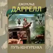Постер книги Путь кенгуренка