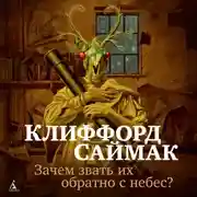 Постер книги Зачем звать их обратно с небес?
