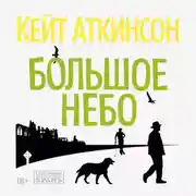 Постер книги Большое небо