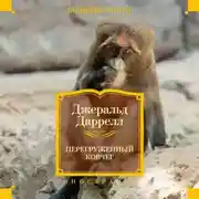 Постер книги Перегруженный ковчег