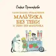 Постер книги Удивительные приключения мальчика без тени и тени без мальчика