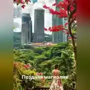 Постер книги Поздняя магнолия