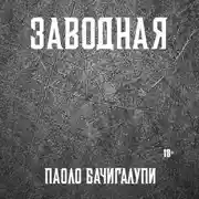 Постер книги Заводная