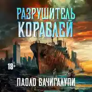 Постер книги Разрушитель кораблей