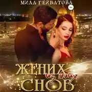 Постер книги Жених из моих снов