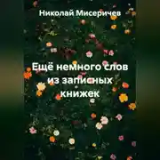 Постер книги Ещё немного слов из записных книжек