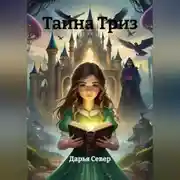 Постер книги Тайна Триз