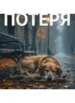 Рома У - Потеря