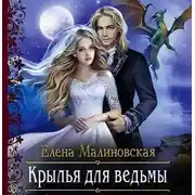 Постер книги Крылья для ведьмы