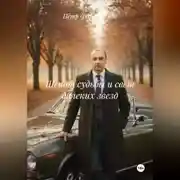 Постер книги Шепот судьбы и свет далеких звезд