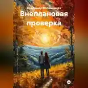 Постер книги Внеплановая проверка
