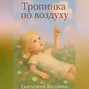 Постер книги Тропинка по воздуху
