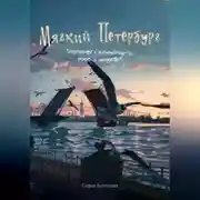 Постер книги Мягкий Петербург: разговоры с незнакомцами, дождь и искусство.