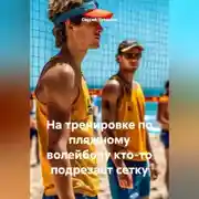 Постер книги На тренировке по пляжному волейболу кто-то подрезает сетку.