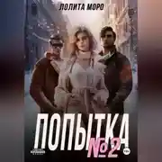 Постер книги Попытка номер 2