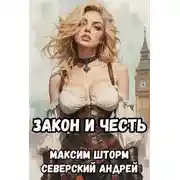 Постер книги Долг закона